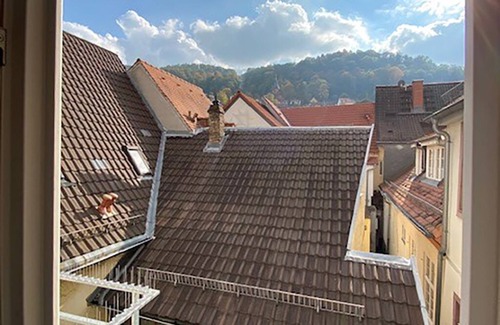 Heidelberg City Centre Apartment | Apartment 1 Valentin