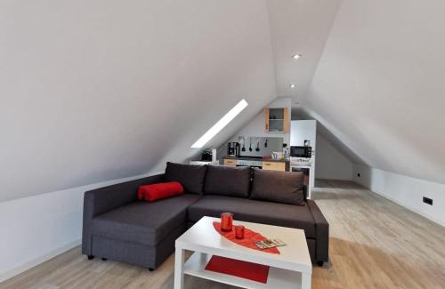 Hunzingen Apartment | Apartment 1 Zimmer