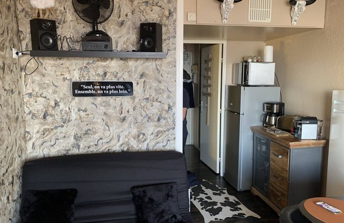 Le Corbier Apartment | Apartment 100% ski in ski out (Les sybelles) 4 people