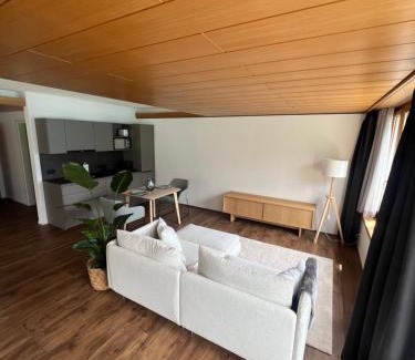 Brienz Apartment | Apartment 18 am Brienzersee