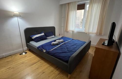 Old City Apartment | Apartment 2 camere Centru Piata 700