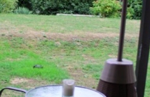 Bad Krozingen Apartment | Apartment '2 Zimmer Appartement 14' with Private Terrace and Wi-Fi
