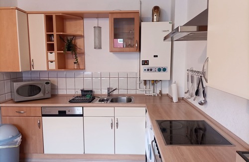 Mitte-Sud Apartment | Apartment 3 lion