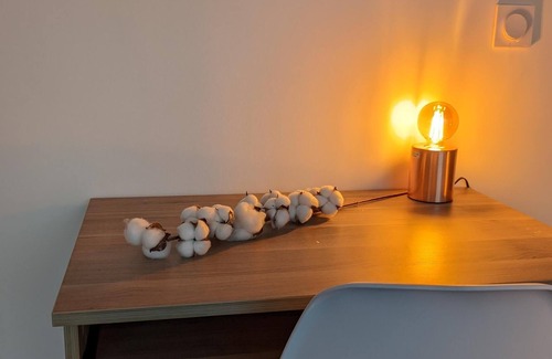 Trappes Apartment | Apartment 3 of 20m² with terrace overlooking the garden