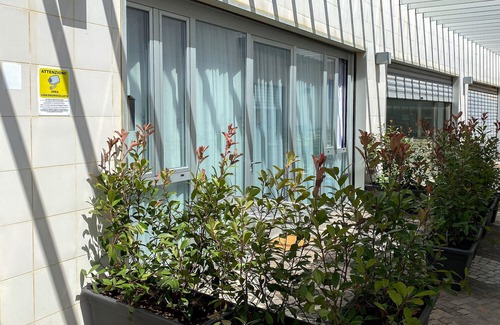 Marina di Cecina Apartment | Apartment 30 mt from the sea - 1