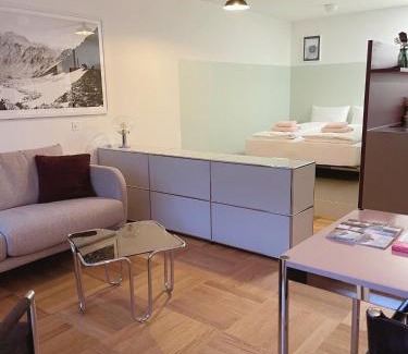 Engelberg Apartment | Apartment 302 - Zentrales Studio