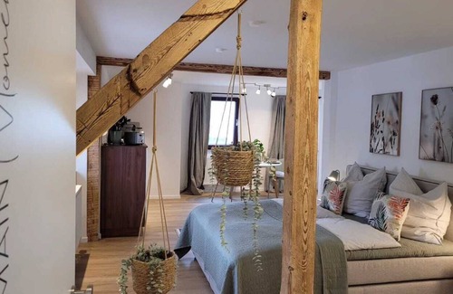 Miltenberg Apartment | Apartment (37sqm) with shared terrace