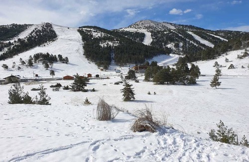 Greolieres les Neiges Apartment | Apartment 3P 67m² facing the slopes sleeps 8