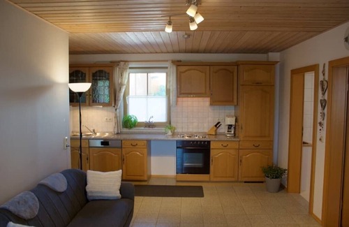 Nittenau Apartment | Apartment (53sqm) with eat-in kitchen and terrace
