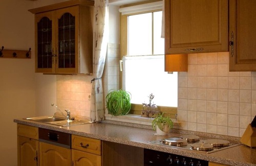 Nittenau Apartment | Apartment (53sqm) with eat-in kitchen and terrace