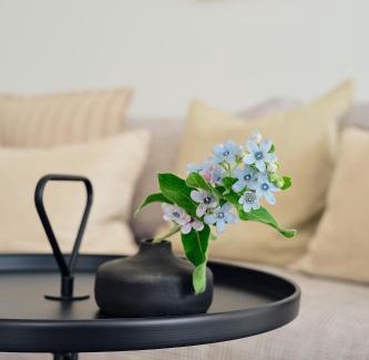 Zirchow Apartment | Apartment A 3 "Pine Hill Resort"