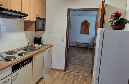 Menzenschwand-Hinterdorf Apartment | Apartment A6 House Albmatte