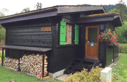 Saanen Apartment | Apartment Abnaki- Chalet by Interhome