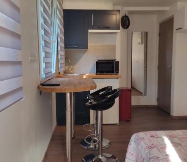 Limoux Apartment | Apartment Albert parking privé gratuit