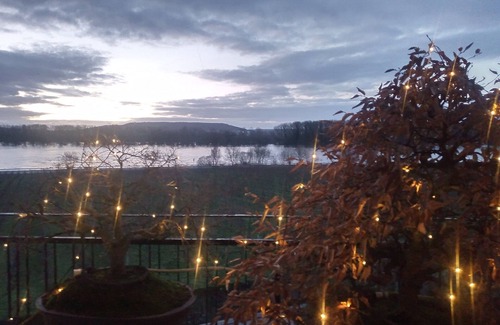 Mainz-Bingen Apartment | Apartment 'Alte Villa Rheinblick' with Private Terrace and Wi-Fi
