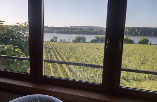 Mainz-Bingen Apartment | Apartment 'Alte Villa Rheinblick' with Private Terrace and Wi-Fi