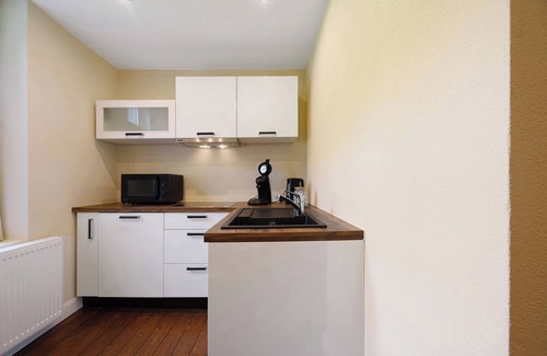 Traben-Trarbach Apartment | Apartment 'Alte Stadtvilla Am Weinberg 6' with Shared Garden and Wi-Fi