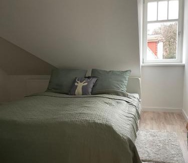 Loschwitz Apartment | Apartment am Weißen Hirsch