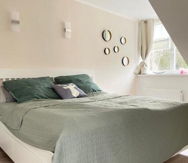 Loschwitz Apartment | Apartment am Weißen Hirsch