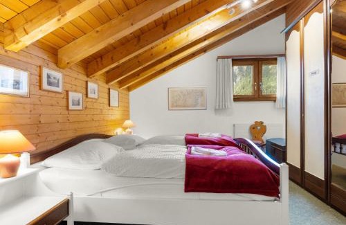 Ernen Apartment | Apartment Aragon M88 by Interhome