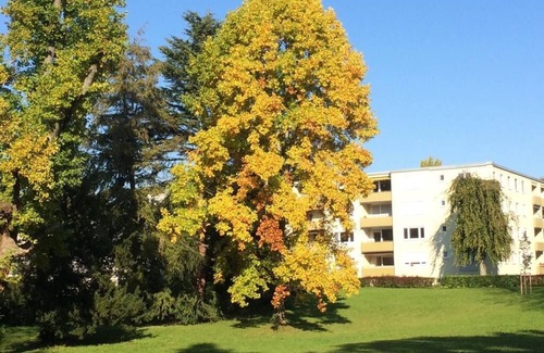 Aschach Apartment | Apartment at Lotzbeckpark