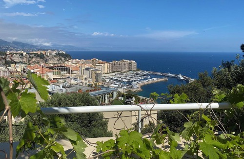 Cap d'Ail Apartment | Apartment at the gates of Monaco 100m with swimming pool Pets welcome