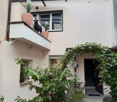 Bad Nauheim Apartment | Apartment Bad Nauheim central