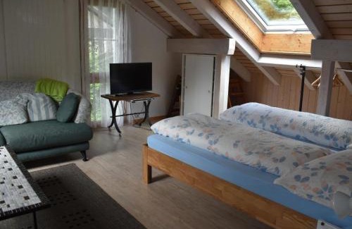 Engelberg Apartment | Apartment Barmettlenstrasse 26 by Interhome