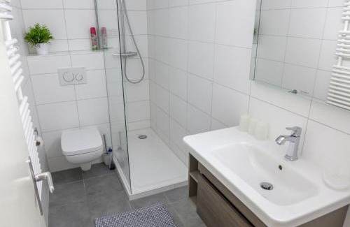 Randogne Apartment | Apartment Barzettes-Vacances 558 - Entrée N- 18 by Interhome