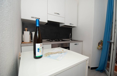 Manarola Apartment | Apartment Belvedere by Arbaspàa - with sea view balcony in Manarola