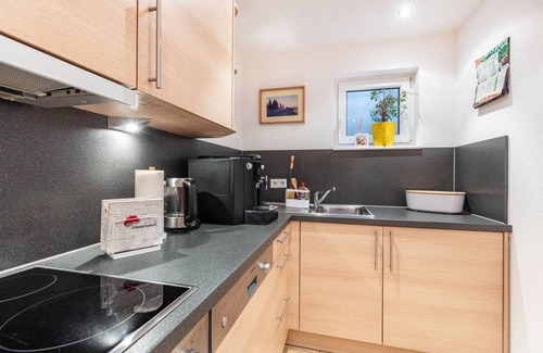Todtnauberg Apartment | Apartment 'Bergahorn Typ C' with Mountain View, Private Terrace and Wi-Fi