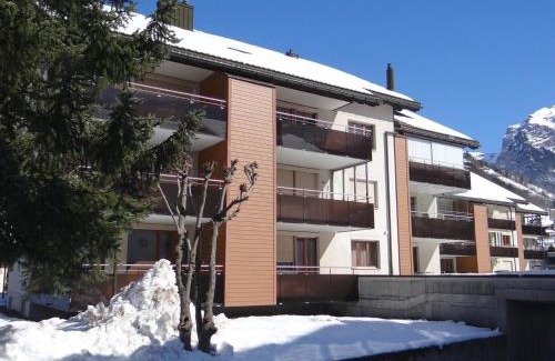 Engelberg Apartment | Apartment Blumenweg 6 by Interhome
