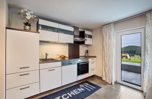 Hartenstein Apartment | Apartment 'Brunnerhof Urlaub Auf Dem Land' with Terrace and Shared Garden