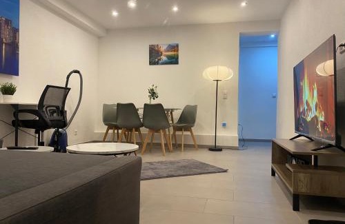 Bad Friedrichshall Apartment | Apartment Business Suite mit 2 Schlafzimmer & Parkplatz, Highspeed WLAN, Fußbodenheizung & Netflix Premium, Zentral zu Audi & Schwarz Gruppe