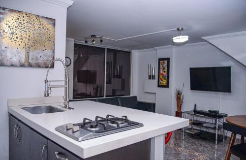 Zona Rosa Apartment | Apartment Carrera 301