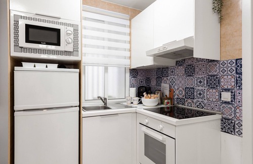 El Ejido Apartment | Apartment 'Centro Malaga La Merced' with Shared Terrace, Wi-Fi and Air Conditioning
