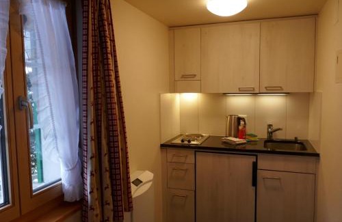 Grindelwald Apartment | Apartment Chalet Schwendihus-6 by Interhome