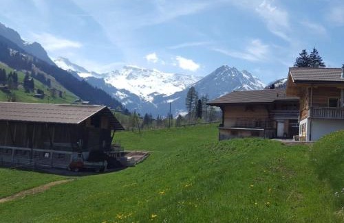 Adelboden Apartment | Apartment Chalet Wäschhüsi by Interhome