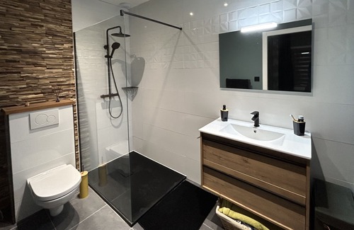 Remiremont Apartment | Apartment Cozy Hyper Center