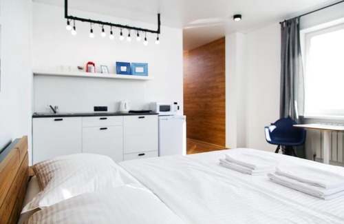 Novosibirsk City Centre Apartment | Apartment Domant NIITO
