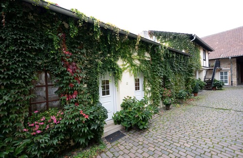 Weisenheim am Sand Apartment | Apartment-Ensuite with Shower-STUDIO
