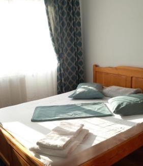 Tirgu Ocna Apartment | Apartment Eleven