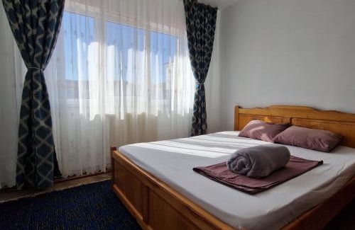 Tirgu Ocna Apartment | Apartment Eleven