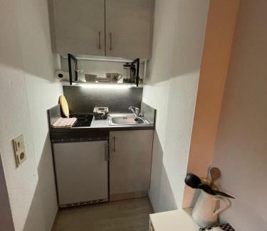 Weißbach bei Lofer Apartment | Apartment für Outdoorfreaks