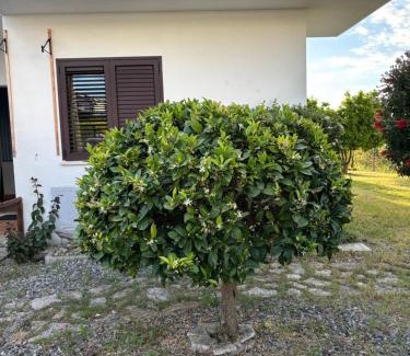 Stignano Apartment | Apartment F24 Stignano Favaco