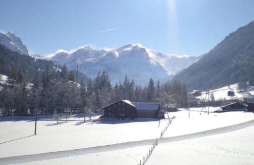 Zweisimmen Nr Gstaad Apartment | Apartment Farfalla by Interhome