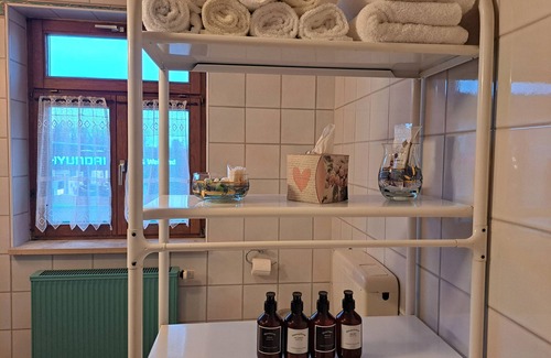 Gunzenhausen Apartment | Apartment 'Ferienwohnung Mit Privater Sauna' with Shared Garden, Balcony and Wi-Fi