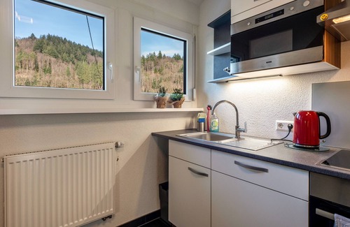 Sulzburg Apartment | Apartment 'Ferienwohnung Auszeit Langmatt' with Mountain View, Private Terrace and Wi-Fi