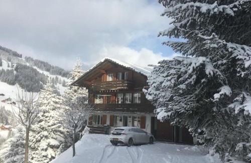 Adelboden Apartment | Apartment Ferienwohnung Lankreijer by Interhome
