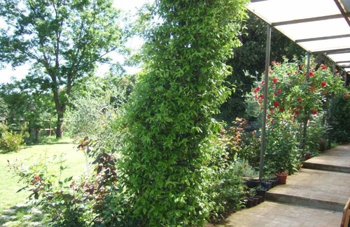 Palazzina Apartment | Apartment/flat - Murlo